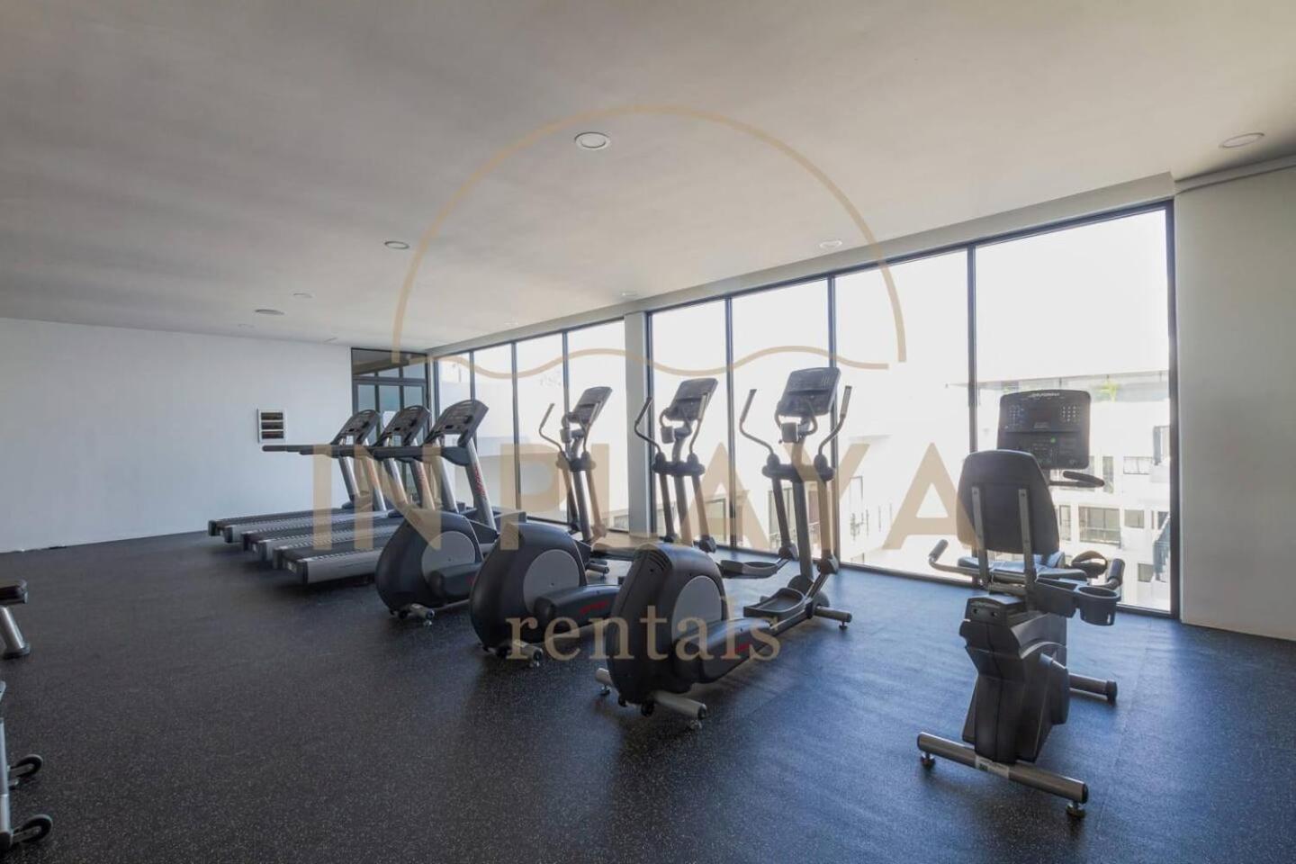 2br In The Heart Of Playa, Ipana